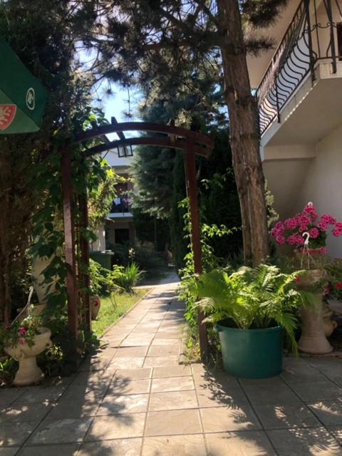 Suzana Garden Hotel Venus Ngoại thất bức ảnh
